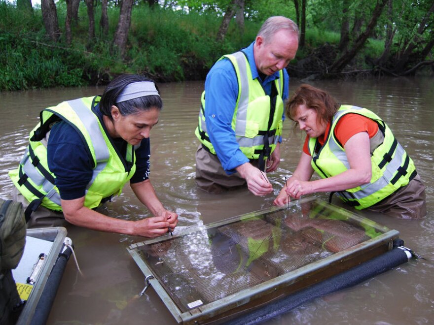 Scientists with the U.S. Geological Survey sample water in Goodwater Creek, Mo., for pesticides and other chemicals that may have run off from the surrounding land.