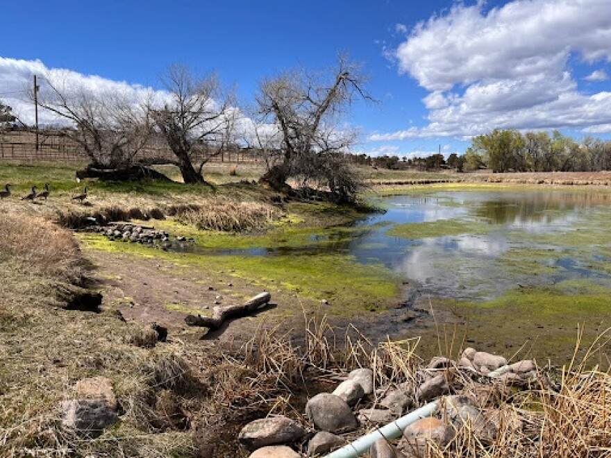 The pond on the Taylor-Oswald Ranch near Cotopaxi, Colorado, was at low levels on April 2, 2026