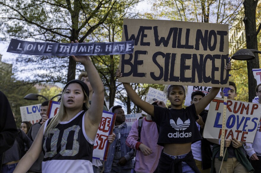 We Will Not Be Silenced, Protesters marching along Pennsylvania Ave to the Capitol, DC.