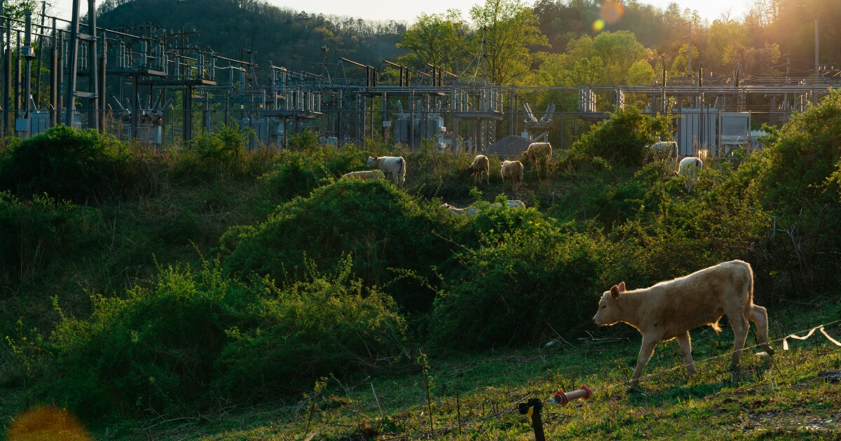 'North Carolinians want us to get ahead of this.' NC House Democrats propose data center legislation