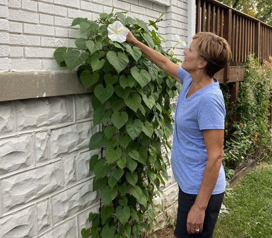 Lisa Williams pointed to a moon flower in her yard. Williams has well over 200 plants growing in her yard.