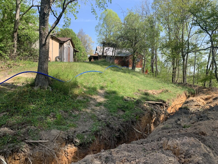 Ditch_HH_backyard.jpg