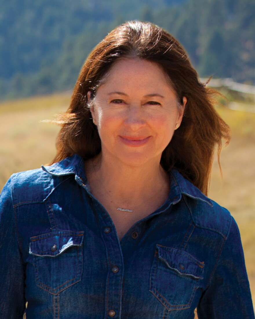 Ellie Gilbreath is running to represent Idaho's 2nd Congressional District against incumbent Rep. Mike Simpson.