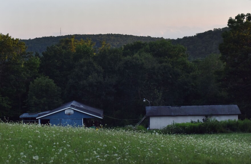 Barns at the Triple J Farm in Windsor, N.Y. Black people remain underrepresented in agriculture. Black Americans own just 1% of rural land nationwide. While 13.4% of the country's population is Black or African American, Black farmers make up 1.34% of all farm producers.