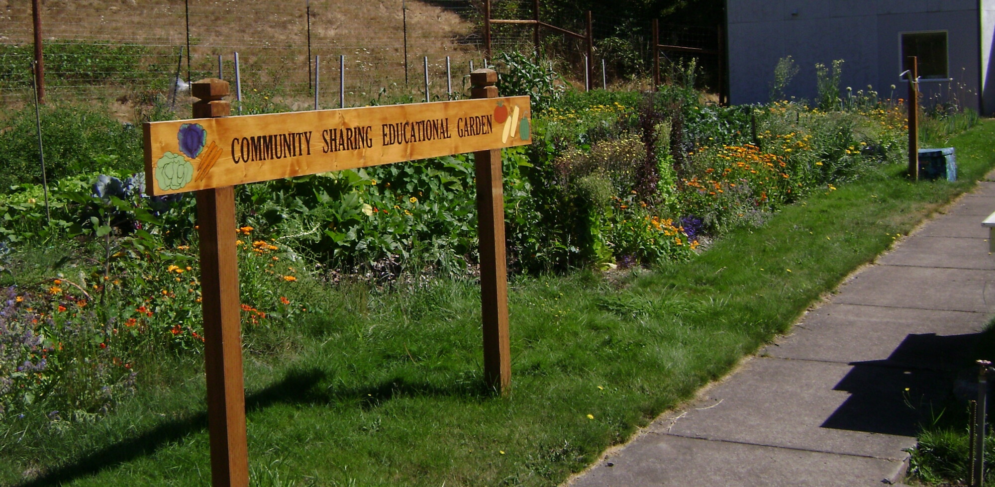A nod to nonprofits: Community Sharing Program episode artwork