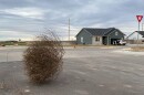 A tumbleweeds rolls through a neighborhood in Garden City, Kansas.