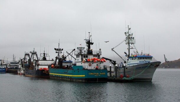 Fishing boats lined up at the Spit Dock in Unalaska's Port of Dutch Harbor, Nov. 19, 2025.