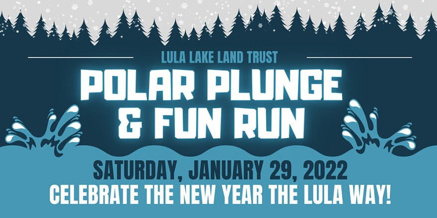 Polar Plunge banner