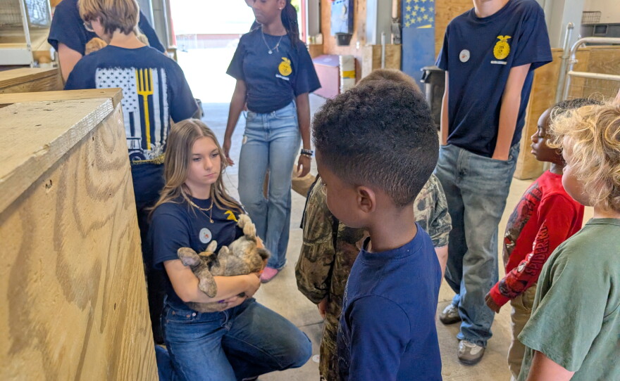 group of students meet a rabbit