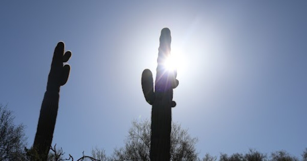 After years of record-hot summers, are record-hot winters next for Arizona?
