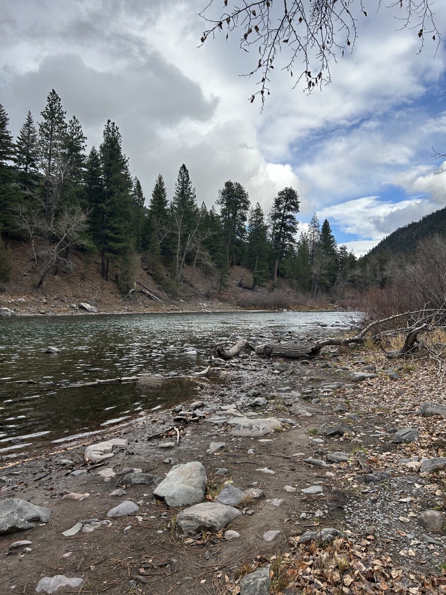 The Blackfoot River near Bonner, Montana.
