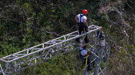 In this Sunday, Oct. 15, 2017 photo, Whitefish Energy Holdings workers restore power lines damaged by Hurricane Maria in Barceloneta, Puerto Rico. Whitefish CEO Andy Techmanski said previous work restoring transmission lines damaged by wildfires in the western U.S. has prepared them for the Puerto Rico contract. (Ramon Espinosa/AP)