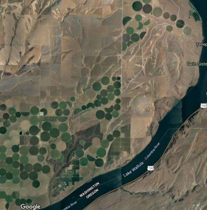 This image from Google Earth shows the span of the Easterday property in question on the Washington side of the Columbia River south of the Tri-Cities. It stretches across a bend in the river with large 100-acre irrigated pivot circles of crops. The land 