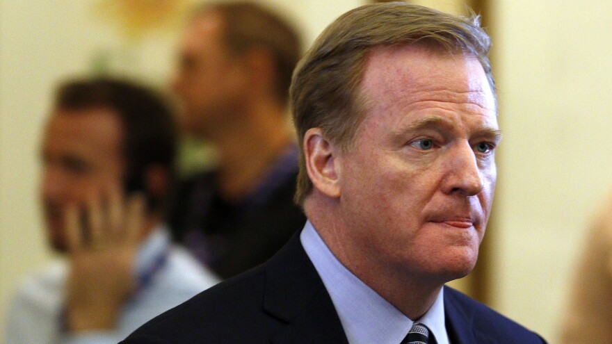 "While we can never completely eliminate the risk of injury, we are always striving to make the game safer," NFL Commissioner Roger Goodell says.