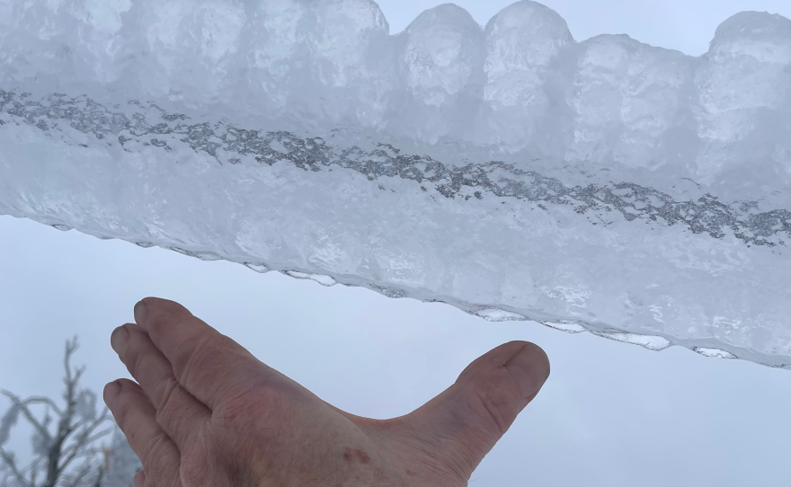 Ice encases a power line near Petoskey on Monday, March 31, 2025. It's about 3.5 inches across, estimates IPR engineer Brian Brachel, whose hand is in the shot for perspective. (Photo: Brian Brachel/IPR)