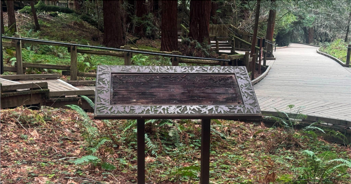 National Park Service removes climate change sign at Muir Woods, per Trump directive