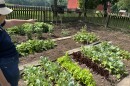 MetroParks' Education Coordinator, Betty Hoevel, stands in a garden at Carriage Hill MetroPark and points to the variety of vegetables growing there.