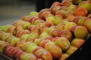 Several dozen green-reddish apples are stacked next to each other in a produce bin. 
