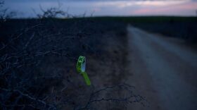 A bracelet used by people smugglers and inscribed with the name of an immigrant who crossed illegally from Mexico to the US to seek asylum is discarded near the Rio Grande river at the border city of Roma.