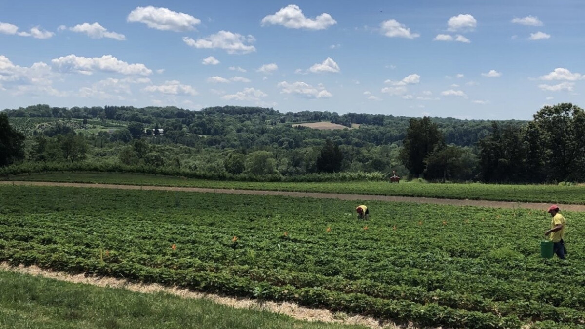 Farmers in Connecticut are successful, but the workforce is aging - Vimarsana News