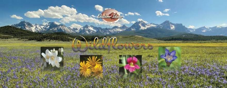 This June, Idaho Public Television has two unique programs that focus on the beauty of Idaho and the well-being of Idaho kids’ mental health. (Courtesy of Idaho Public Television)