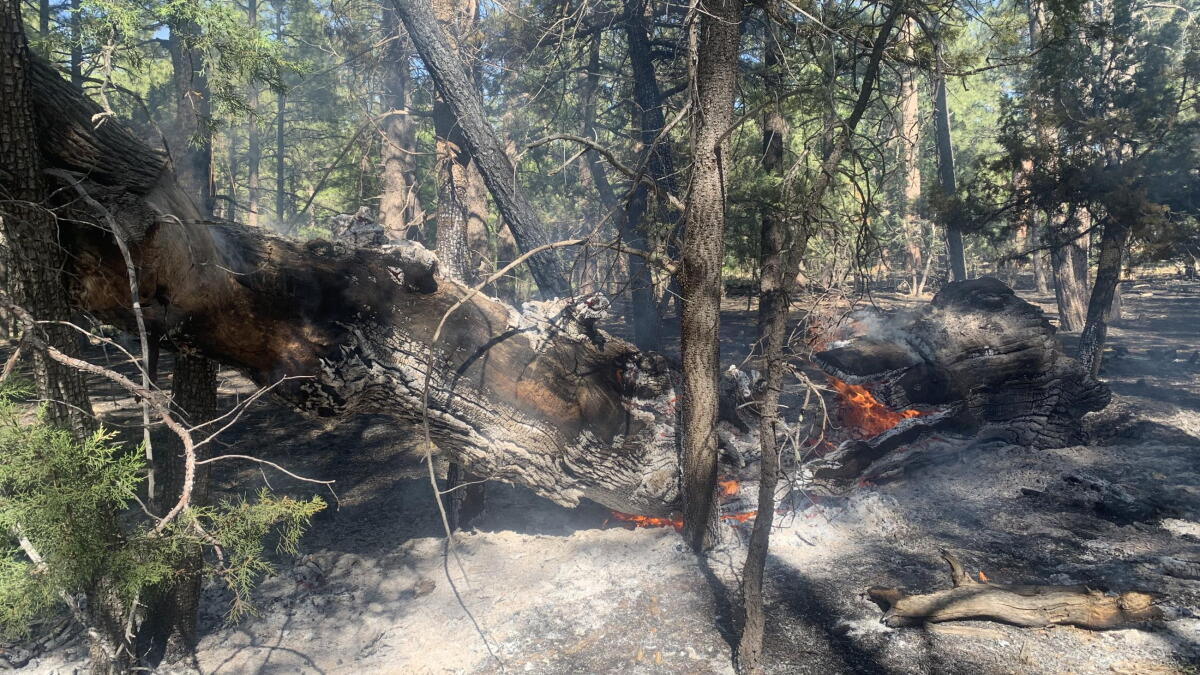 New management team takes over command of Wilbur Fire - Vimarsana News