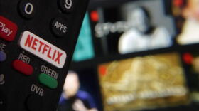 The Netflix button on a television remote control is juxtaposed with a Netflix web page. (Richard Drew/AP)