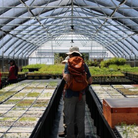 Hakalau Forest National Wildlife Refuge's Laulima greenhouse. (Sept. 13, 2025)