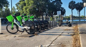 A row of Lime bikes in St. Petersburg wait to be rented.