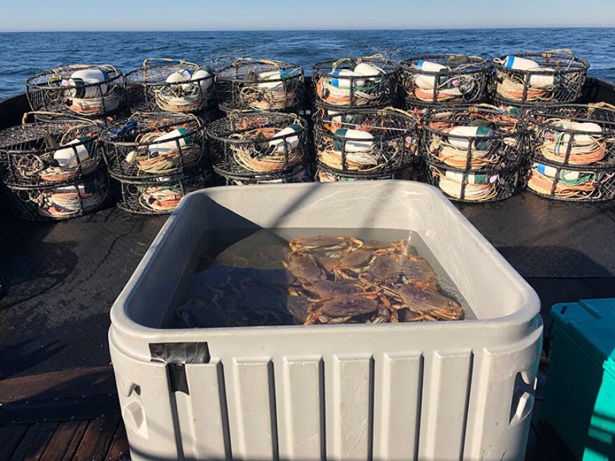 Crab pots and a gray tub filled with crabs.