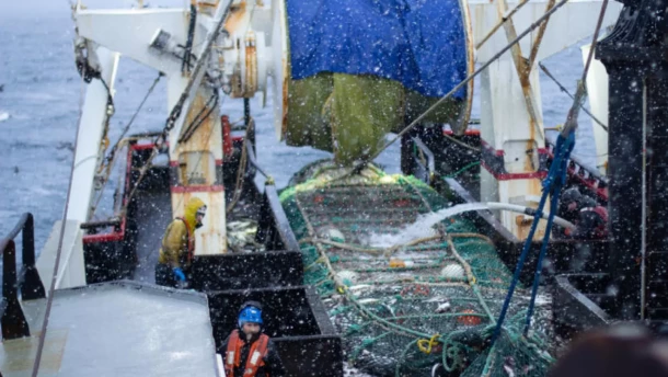 Crew members on the fishing vessel Commodore empty a trawl net of pollock on the Bering Sea in January, 2019.