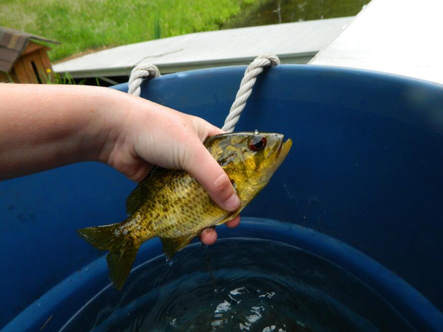 Recreational Fishing - Kentucky Department of Fish & Wildlife