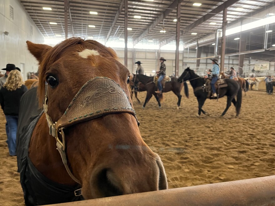 Children riding horses