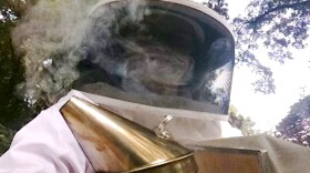 woman in a bee suit