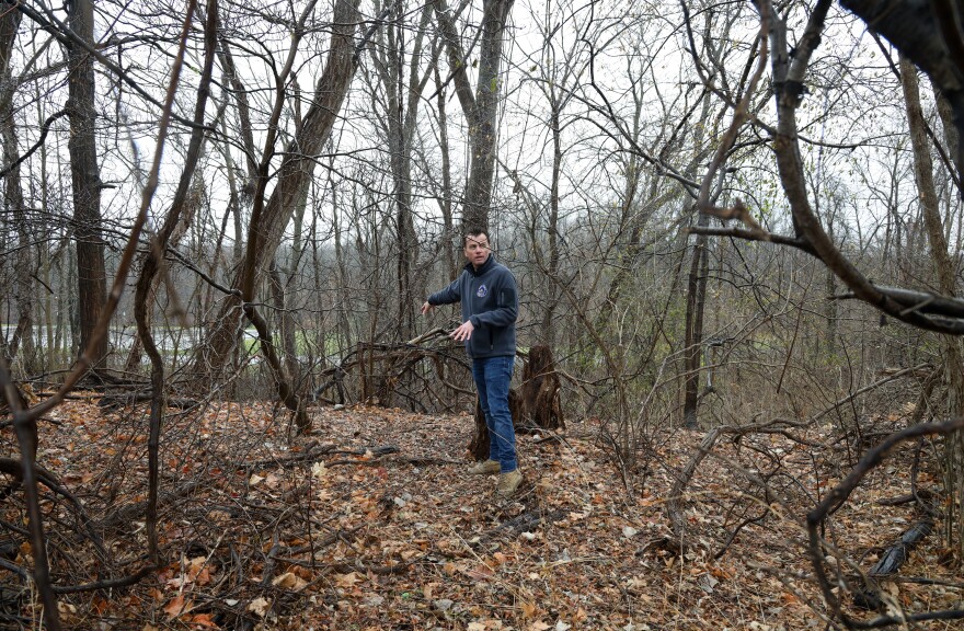 Shane Mahar surrounded by trees