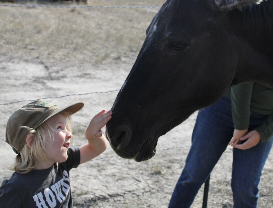 Henry Bridge visits Montana’s Wild Horse Sanctuary in Cascade, Montana on Sept. 5, 2025. A closeup shows 3-year-old Henry Bridge face to face with a black horse. Henry is touching the horse's muzzle.