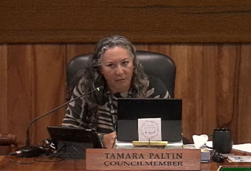 Councilmember Tamara Paltin during the Sept. 14 Disaster, Resilience, International Affairs, and Planning Committee meeting.