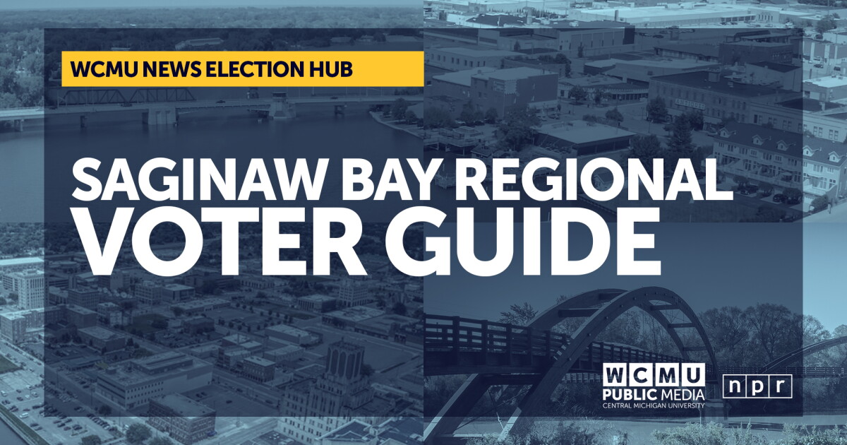 Your guide to voting in the state Senate special election | WCMU Public ...