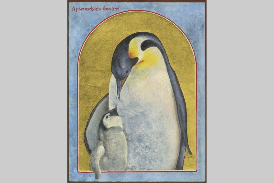 The Emperor Penguin by Angela Manno.