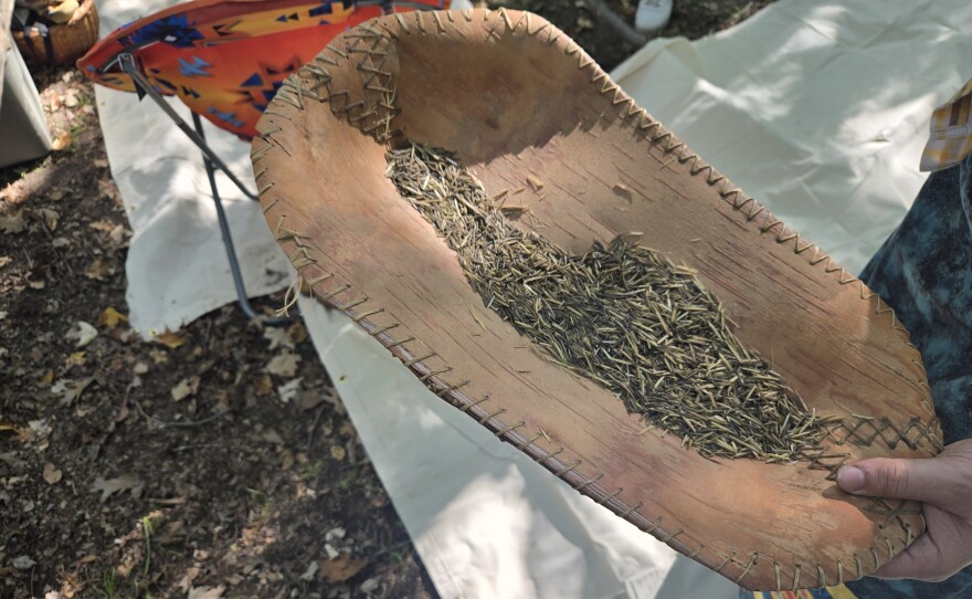 Wild rice grains in a birch bark basket
