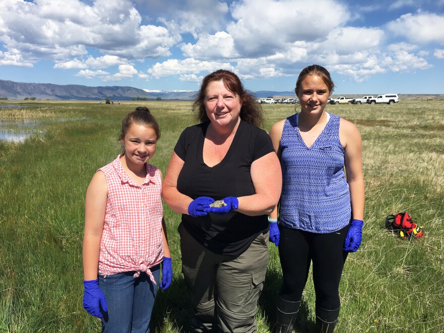 Sharon Taylor, with her daughters Christina (left) and Katelyn (right), were part of a group that reintroduced 853 Wyoming toads into the wild at Mortenson Lake National Wildlife Refuge in Laramie, Wyo.