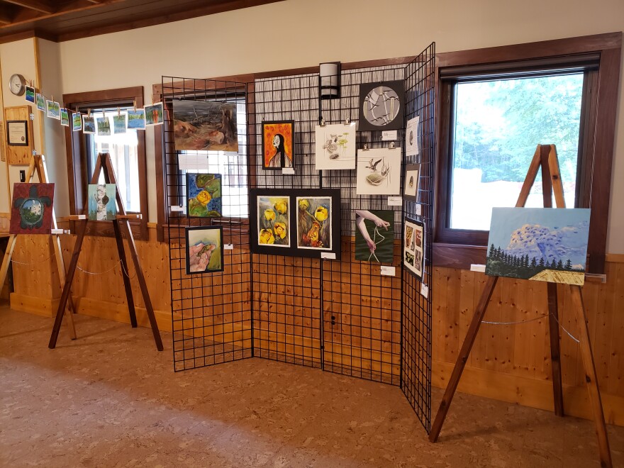 A gallery the interns set up at the Discovery Center.