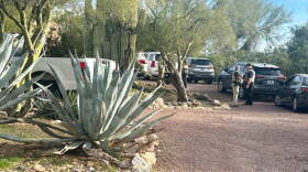 Nancy Guthrie foothills home Pima County Sheriff