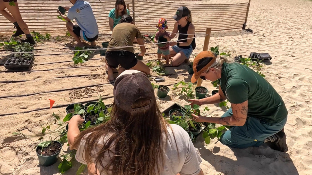 Global climate initiative encourages youth-led projects in Hawaiʻi