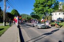Children with flags flank a silver convertible during a parade.