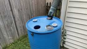 Water barrel can be a mosquito breeding ground