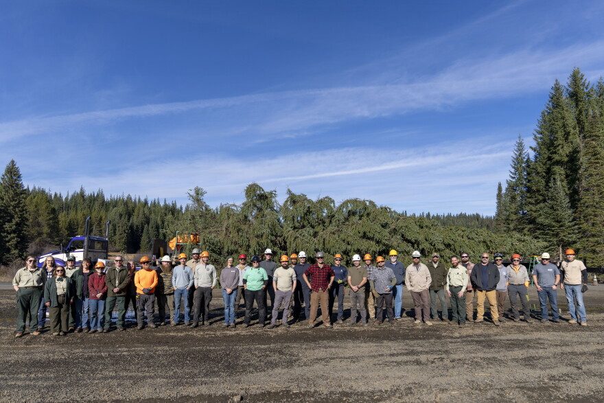 The Nez Perce-Clearwater National Forests team pose in front of the 2026 U.S. Capitol Christmas Tree, a 76-foot tall Englemann Spruce, at Musselshell Meadow on Oct. 24, 2026 before it makes its 2,500-plus mile journey to the West lawn of the Nation’s Capitol.