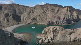 hamilton sea of cortez hero