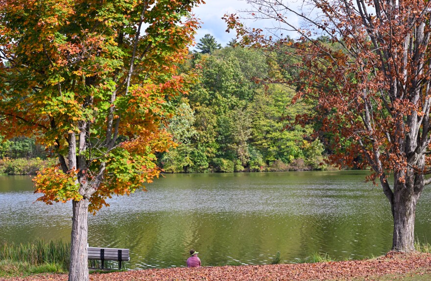 A woman sits by the lake in Frances Slocum State Park, in Luzerne County, in late September 2025.