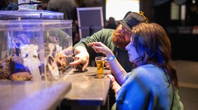 People with a cup of beer looking at a tank of sea creatures